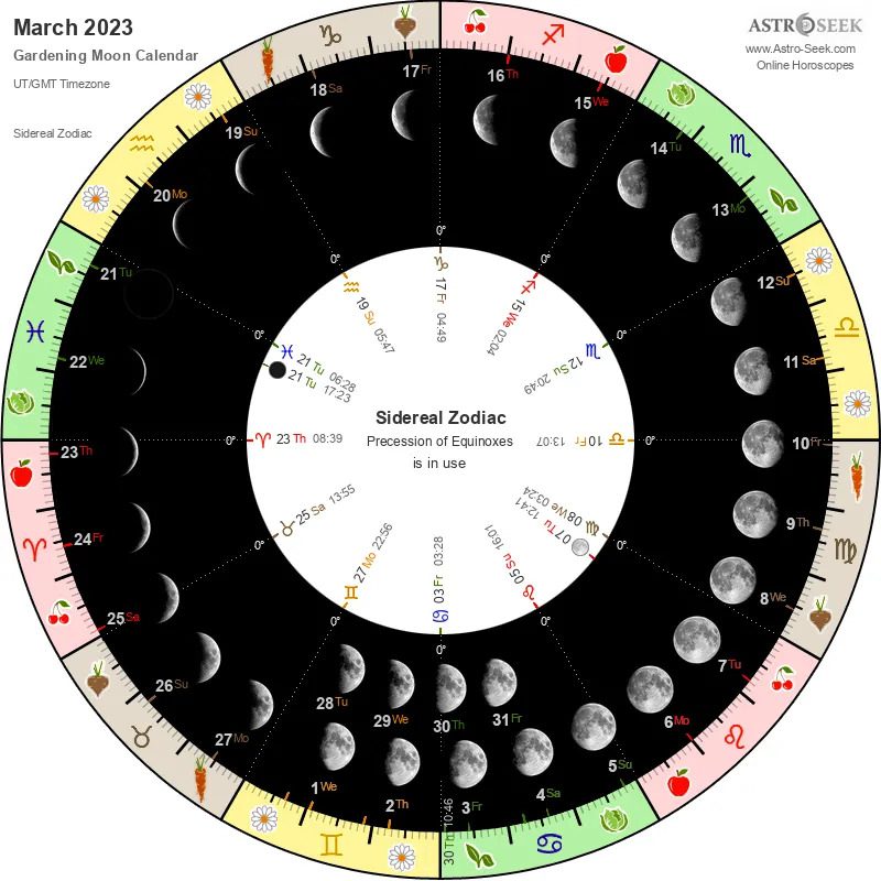 March 2023 Moon Phases Calendar