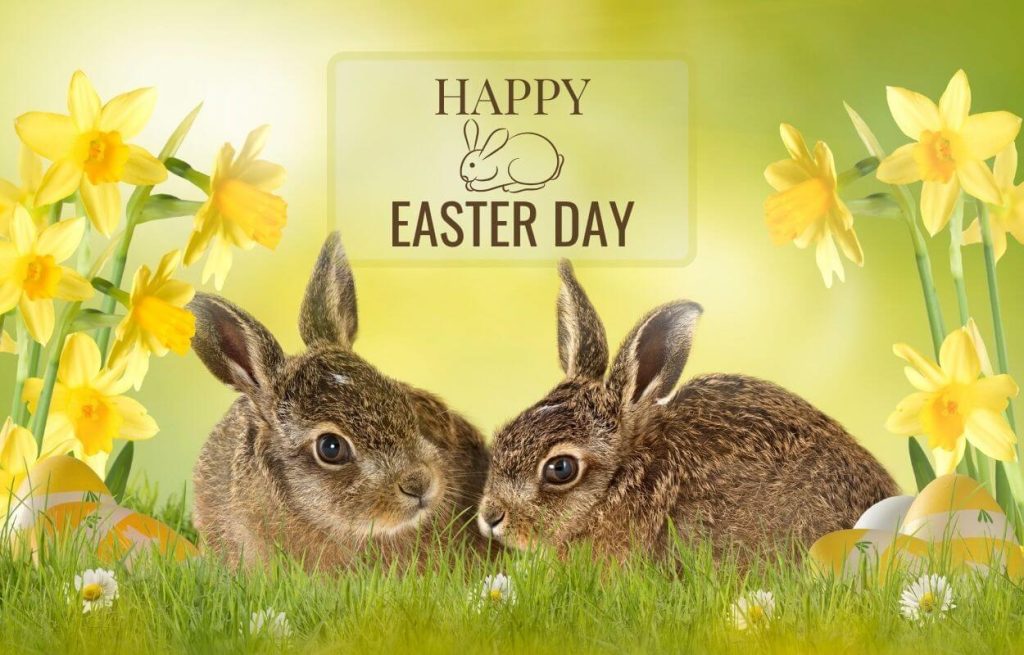 Happy Easter Day Pictures Free