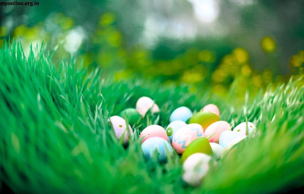 Happy Easter HD Pic