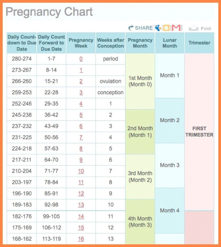 Pregnancy Calendar Week by Week
