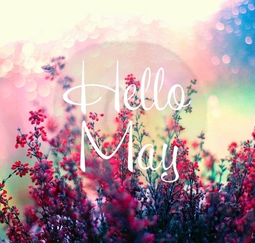 Hello May Images and Pictures