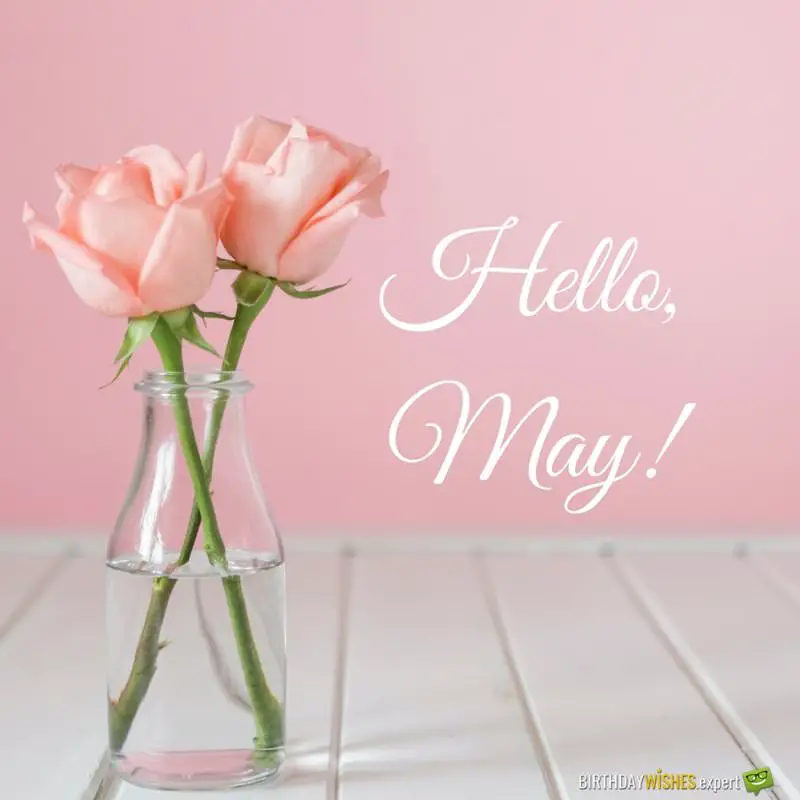 Hello May on photo with glass vase and pink roses