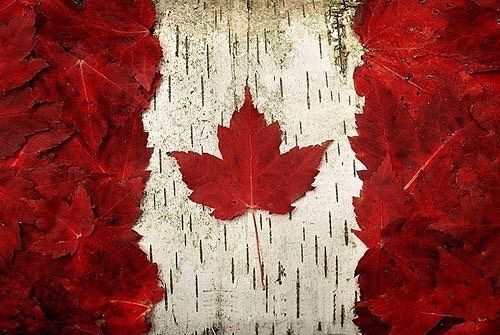 Funny Happy Canada Day Images
