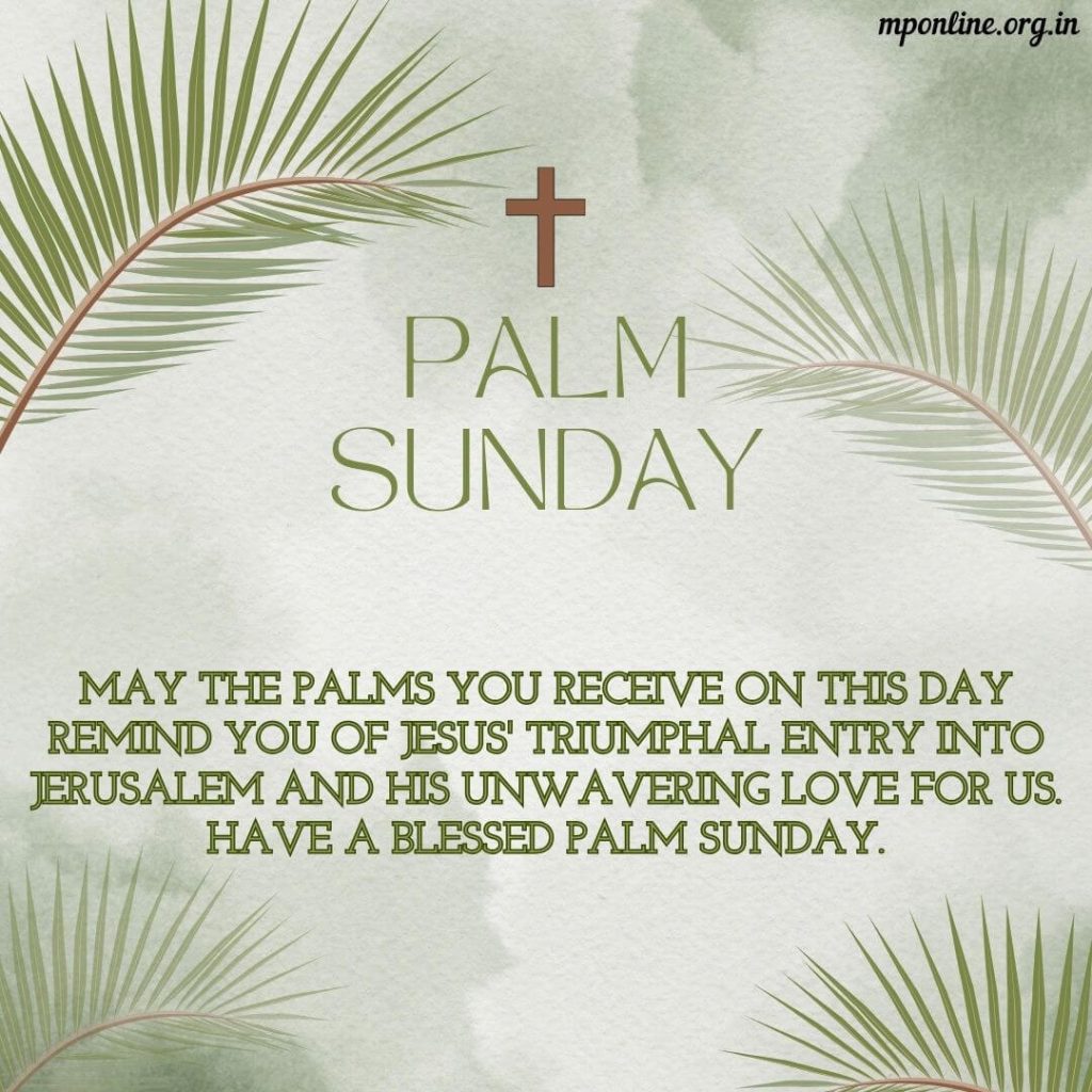 palm sunday quotes from the bible